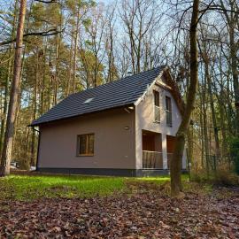 Forest House Buxusson