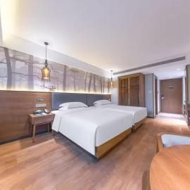 True Go S Hotel - Shenzhen Convention and Exhibition Center Union Square Branch