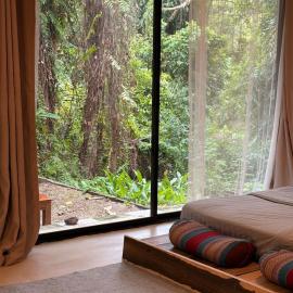 Lakehouse in the Old Rainforest