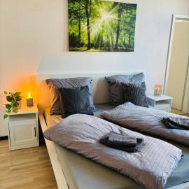 bezaubernde Ferienwohnung im Zentrum von Plauen