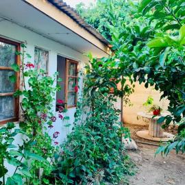 Casa cerca de Ovalle o Punitaqui con árboles y patio, hotel v destinaci Ovalle