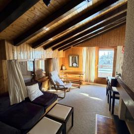Diablerets D 048 - MOUNTAIN apartment 4 pers