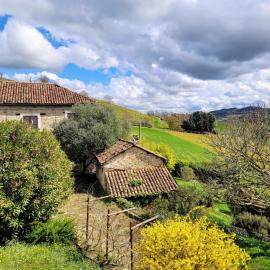 Appartamento Moscato in Cascina Marenco Langhe Country House, hotel Cessoléban
