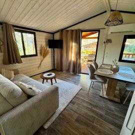 Chalet confort premium climatisé avec piscine, hotel in Solliès-Toucas
