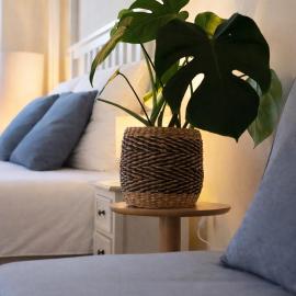 Moderne Hanse-Suite im Zentrum Lüneburgs