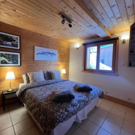 Beautiful spacious chalet 15 people ALPE d'Huzes et Tour de France, hotel sa Huez