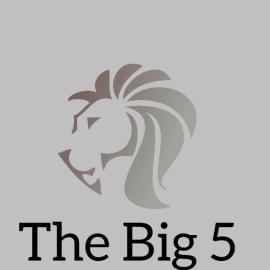The Big 5 - Lion, Hotel in Four Ways