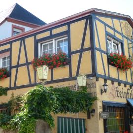 Alte Weinstuben Steinfelder Hof - B&B, hotel in Ellenz-Poltersdorf