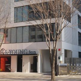 L YOUNG Inn Capsule Hotel Myeongdong