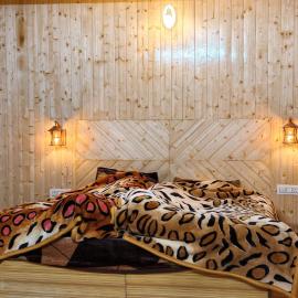 Raviza Homestay Naggar