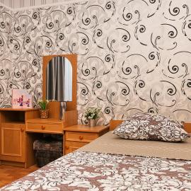 Standard 2-bd Apartment Centre - Zasumska Street