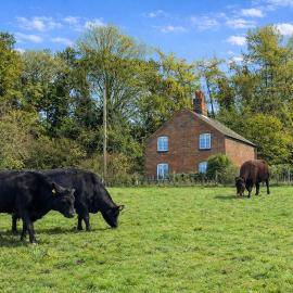 Chalk Pit Cottage