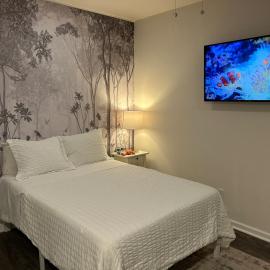 Private, Cozy Studio in Downtown Stamford, CT