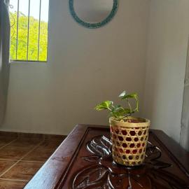 Casa El Limón，葉萊巴的飯店