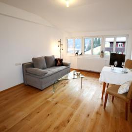 Holiday apartment in Bregenzerwald near forest, Hotel in Sibratsgfäll