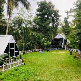 The Wildcamp - Coorg