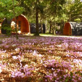 La Rossignolerie - POD Cabanes des châteaux, hotel in Chouzy-sur-Cisse
