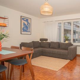 Central 2-bed flat in city center with BaselCard