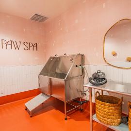 Prime ASU Area Balcony Pool Gym W&D Parking PHX
