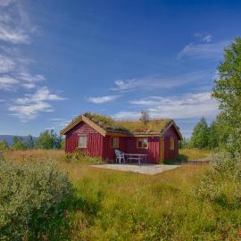 Charming Cabin With Old Timber, Fireplace & Views