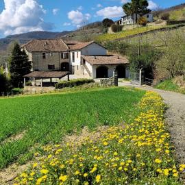 Appartamento Barbera in Cascina Marenco Langhe Country House, hotel Cessoléban