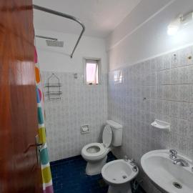 Departamento Colibri