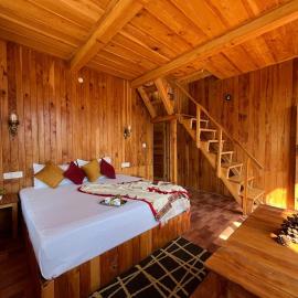 Jalori View Log House Jibhi