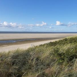 Nordsee Gulfhof 2 mit Garten Dornum 60 qm, hotel in Dornum