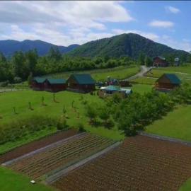 Eco village & resort Coric Delux bungalow