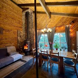 Mountain Cabin at Heavenly، فندق في ستيتلاين