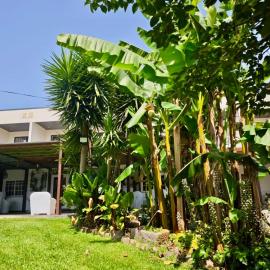 Quinta do Botas, hotel u gradu Moimenta