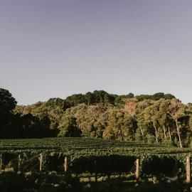 Mantons Creek Estate, ξενοδοχείο σε Shoreham