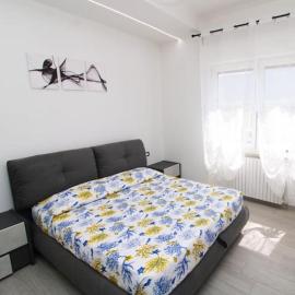 Casa Alex