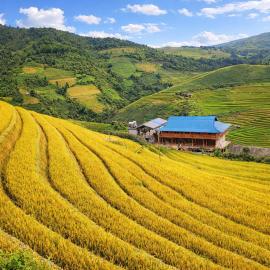Pu Nhu Homestay, hotel a Mù Cang Chải
