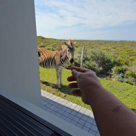 Fynbos N Sea, hotel u gradu 'Gansbaai'