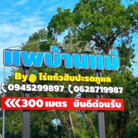 แพบ้านแม่