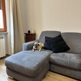 Apartment near the historic center and the hospital