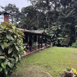 Finca Neblina del Bosque - Cerca a Dapa