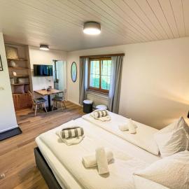 Falera में, होटल Apartment La Siala Apt-21 by Interhome