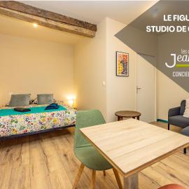Le Figuier - Studio de Charme, hotelli kohteessa Lavaur