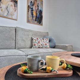Luna chalet Zlatibor โรงแรมในซลาตีบอร์