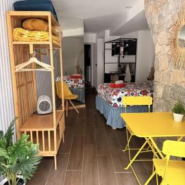 Art Apartments Leiria Historic House
