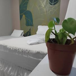 Quarto Aconchego Nordestino