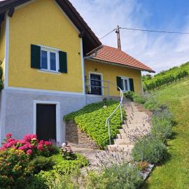 Ferienhaus Weingut Bauer