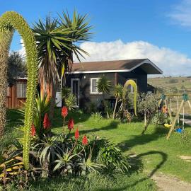 Da Silva Surfcamp - Tiny House Jorgina，洛里尼揚的飯店
