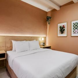 Damián Carmona By Homi Rent