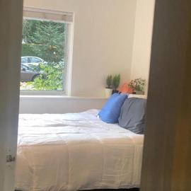 Quiet-comfy 3 bedroom house on a tree lined street in Kitsilano