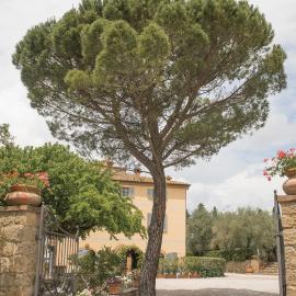 Terre di Nano, hotel in Monticchiello