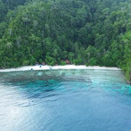 Batanta Paradise Homestay – hotel w mieście Pulau Batanta
