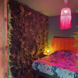 Jacuzzi jungle privative appartement